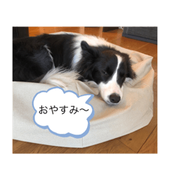 [LINEスタンプ] ルークくんww