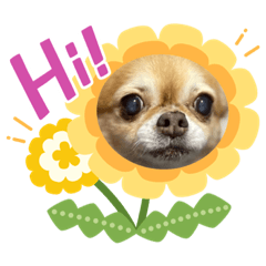 [LINEスタンプ] MAO STANPU