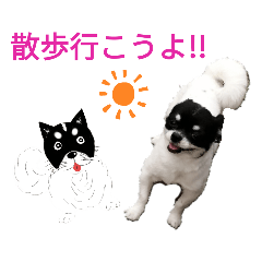 [LINEスタンプ] ぼく、ソラくん2