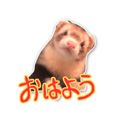 [LINEスタンプ] 五右衛門と影千代