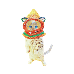 [LINEスタンプ] Happy Rock cat special