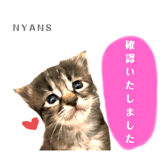 [LINEスタンプ] 動物愛護団体NYANS④