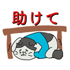 [LINEスタンプ] 緊急時のとっさのスタンプハチワレ猫