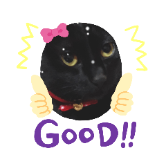 [LINEスタンプ] 黒猫キキちゃん♥