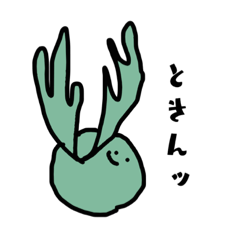 [LINEスタンプ] いろいろビカクシダ