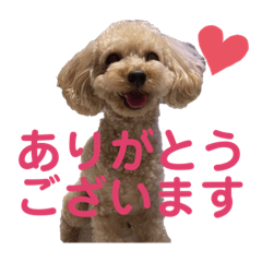 [LINEスタンプ] 岡田ルイくんのスタンプ2