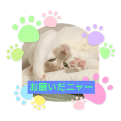 [LINEスタンプ] 津波から危機一髪！ひき逃げから危機一髪！