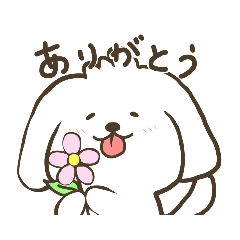 [LINEスタンプ] 犬のソラ