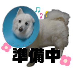 [LINEスタンプ] うめちゃんひめちゃん2