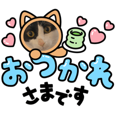 [LINEスタンプ] ネコニァン