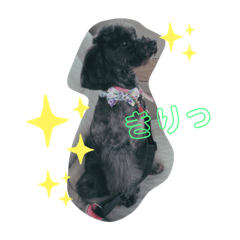 [LINEスタンプ] おしょこ2