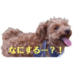 [LINEスタンプ] ときどきロイくん 第三弾