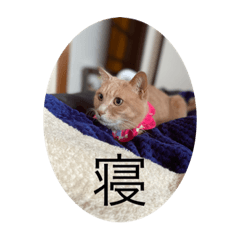 [LINEスタンプ] むぎさんといっしょ②