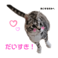 [LINEスタンプ] りつより あいするきみへ