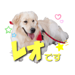 [LINEスタンプ] レオです♪