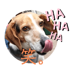 [LINEスタンプ] うしおのリアクションスタンプ