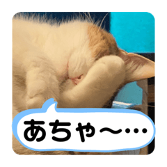[LINEスタンプ] チロ＆ガブ