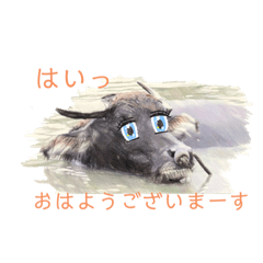 [LINEスタンプ] ドウブツッツ