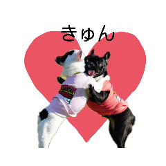 [LINEスタンプ] フレンチブルドッグのあずき＆きなこ2