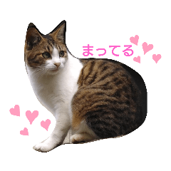 [LINEスタンプ] 今日も楽しく行こう