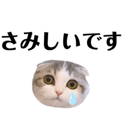 [LINEスタンプ] らぶりーまあやスタンプ