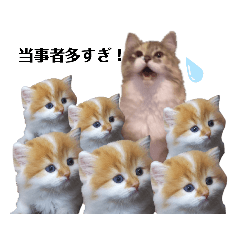 [LINEスタンプ] 福猫＆花猫〜弁護士が使えそうなスタンプ〜