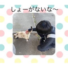 [LINEスタンプ] 部活のメンバースタンプ