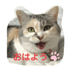 [LINEスタンプ] 永遠のおんにゃのこ☆みゆう ②