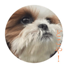 [LINEスタンプ] fuku.every day！