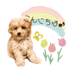 [LINEスタンプ] Noah no.1