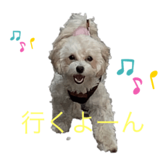[LINEスタンプ] コナン＆宇宙ちゃん