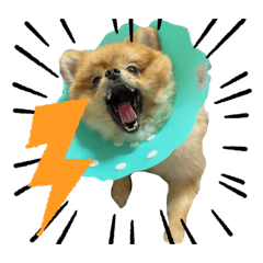[LINEスタンプ] えりまきマメゾウちゃん
