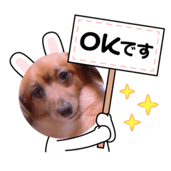 [LINEスタンプ] ゼロく♡