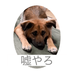 [LINEスタンプ] 関西弁のふぅちゃん