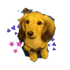 [LINEスタンプ] Dachshundpuppy1