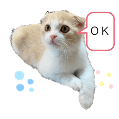 [LINEスタンプ] マエル