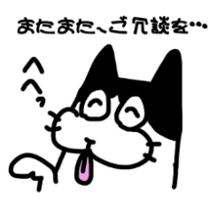 [LINEスタンプ] ハチワレにゃんこ敬語スタンプ