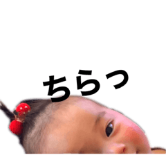 [LINEスタンプ] タイガーたいがー