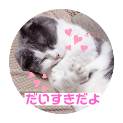 [LINEスタンプ] ジジキキスタンプ