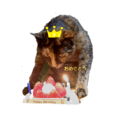 [LINEスタンプ] 猫のふろんた＆かぶれら