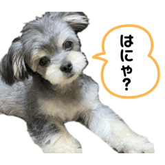 [LINEスタンプ] Muuくん