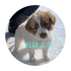 [LINEスタンプ] ポロポロ<vol.1>