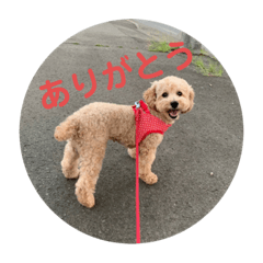[LINEスタンプ] はっぱちゃんと、にこにこらんらん