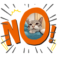 [LINEスタンプ] ฅ•ω•ฅฅ(^^ฅ)