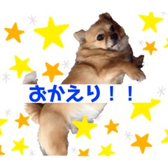 [LINEスタンプ] 我が家のかわいいこたち