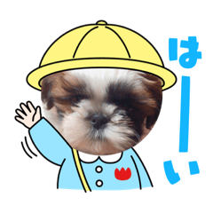 [LINEスタンプ] 可愛い愉快なシーズー