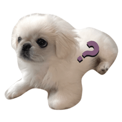 [LINEスタンプ] らららららんど♪