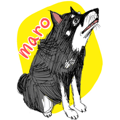 [LINEスタンプ] まろ眉犬「まろ」の挨拶スタンプ