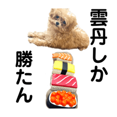 [LINEスタンプ] 雲丹ちゃんスタンプ2