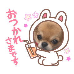 [LINEスタンプ] のりちゃんまめちゃんスタンプ